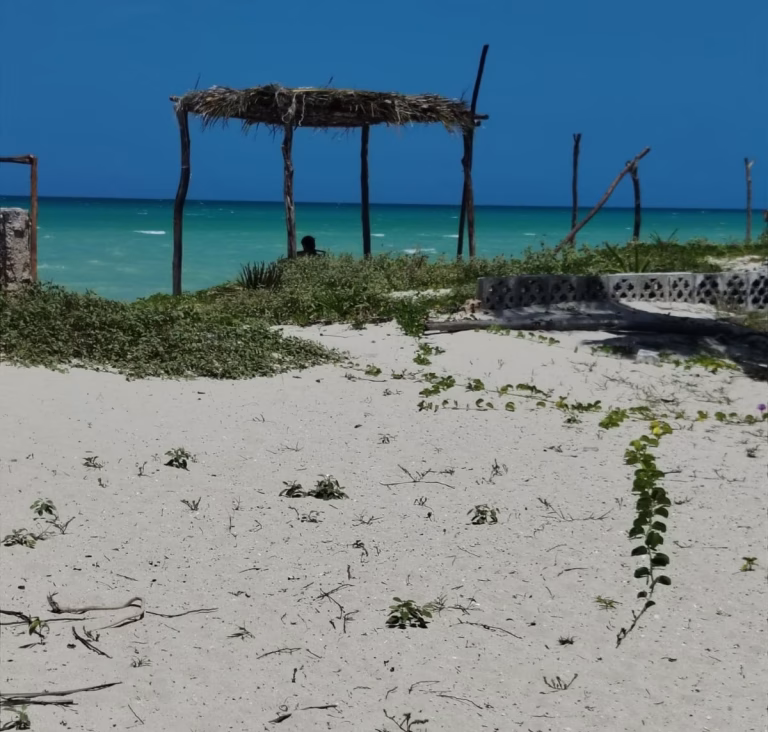 Sisal Tumba
