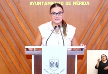Trenecito del Centenario costará unos 6 mdp; estaría listo en febrero