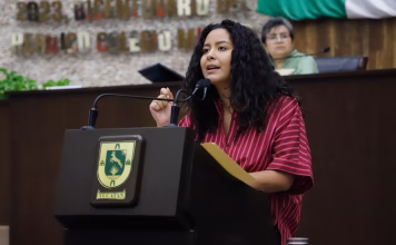 Proponen sustituir topes por cruces seguros en escuelas
