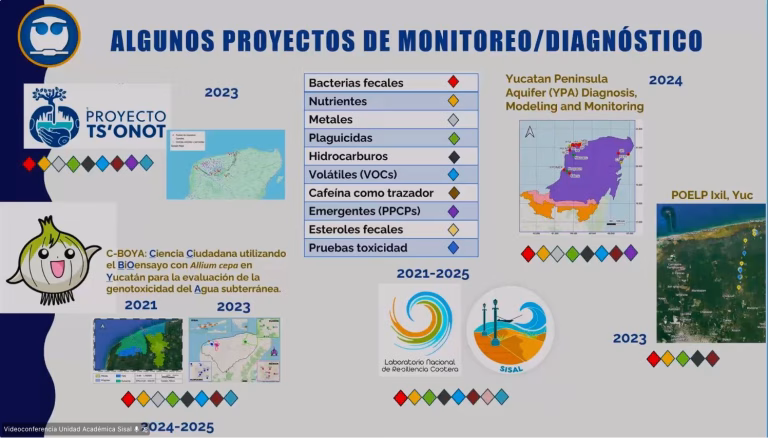 Aumenta presencia de cafeína y persisten plaguicidas en el acuífero de Yucatán