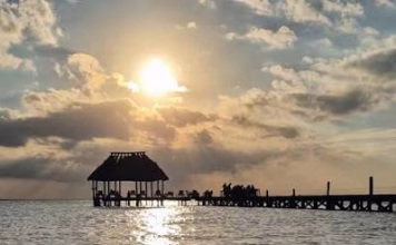 Detectan cafeína en la laguna de Chelem y peces con hígado dañado