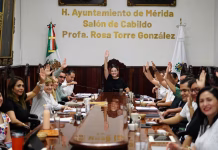 Mérida aprueba nuevo reglamento de bienestar animal bienestar animal en Mérida