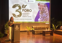 Presión inmobiliaria y contaminación amenazan a la Reserva Cuxtal