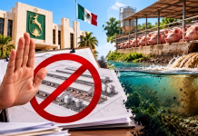 Gobierno de Yucatán responde a denuncias por contaminación del agua; no autoriza nuevas granjas