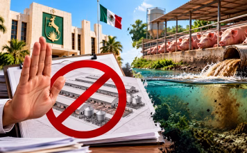 Gobierno de Yucatán responde a denuncias por contaminación del agua; no autoriza nuevas granjas