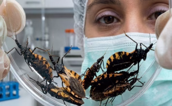Yucatán aporta a vacuna internacional contra el Chagas